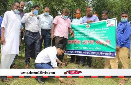 সৈয়দপুর উপজেলায় তালবীজ রোপন কর্মসূচির উদ্বোধন,