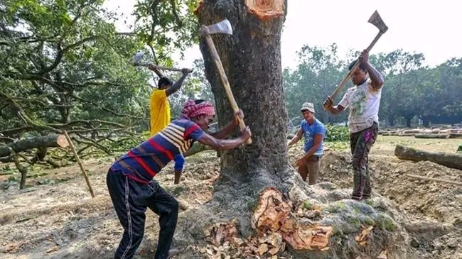 জলবায়ু পরিবর্তনের বিরূপ প্রভাবে হুমকির মুখে নেত্রকোনার পরিবেশ ও মানুষের জীবনযাত্রা