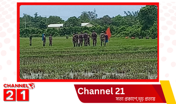 বাংলাদেশিদের গরু নিয়ে গেছে ভারতীয়   বিএসএফ।