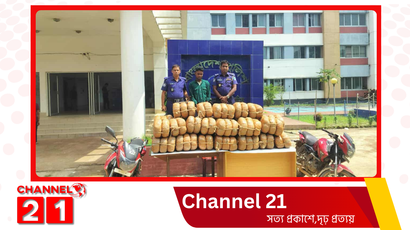 বিজয়নগরে ১৭০ কেজি গাঁজাসহ মাদক ব্যবসায়ী গ্রেফতার।