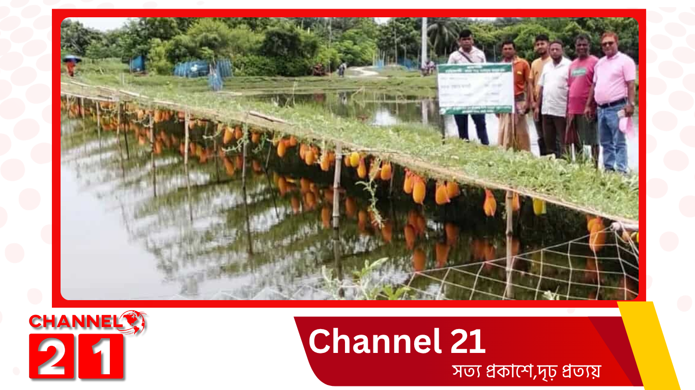 সাতক্ষীরা কুলিয়ায় তরমুজ চাষ করে কৃষক আবুল খালেক স্বাবলম্বী