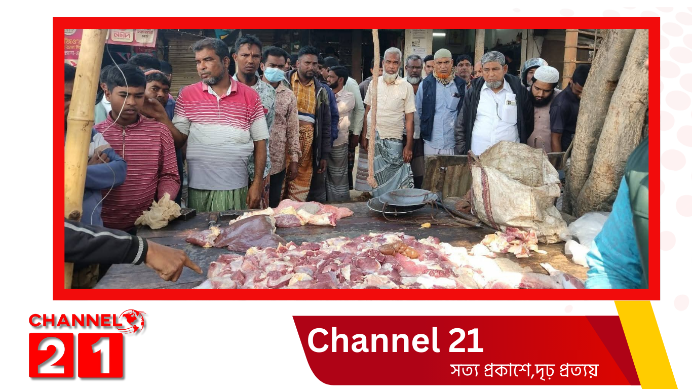 নওগাঁর পোরশায় অসুস্থ গরুর মাংস বিক্রির চেষ্টা, ১৫ হাজার টাকা জরিমানা
