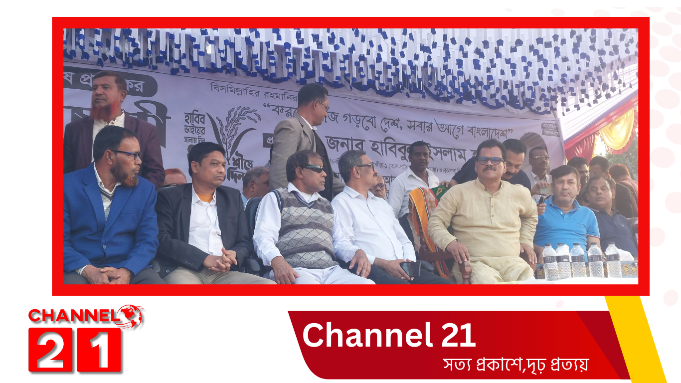 উন্নয়নের স্বার্থে ধানের শীষে ভোট দিন : কুমিরায় ধানের শীষের প্রার্থী হাবিবুল ইসলাম হাবিব