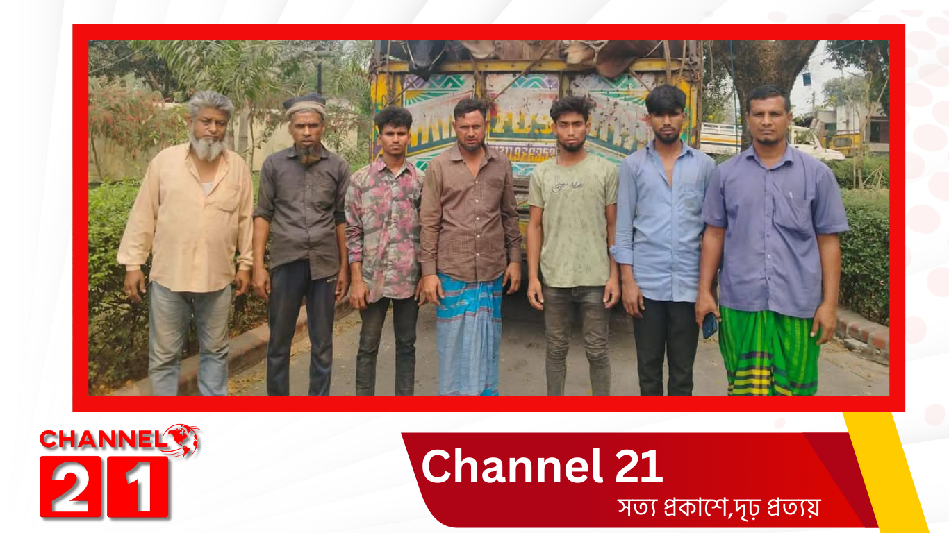 গাজীপুর মেট্রোপলিটন পুলিশের তৎপরতায় ছিনতাই হওয়া ট্রাকসহ ১৯টি গরু উদ্ধার