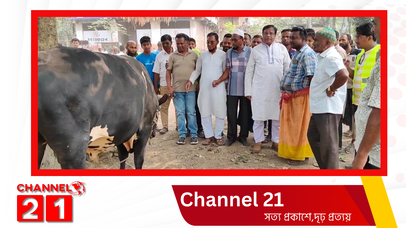 শার্শার একশ’ বছরের ঐতিহ্যবাহী নাভারণ পশুহাট দীর্ঘদিন বন্ধ থাকার পর আবারও চালু হলো