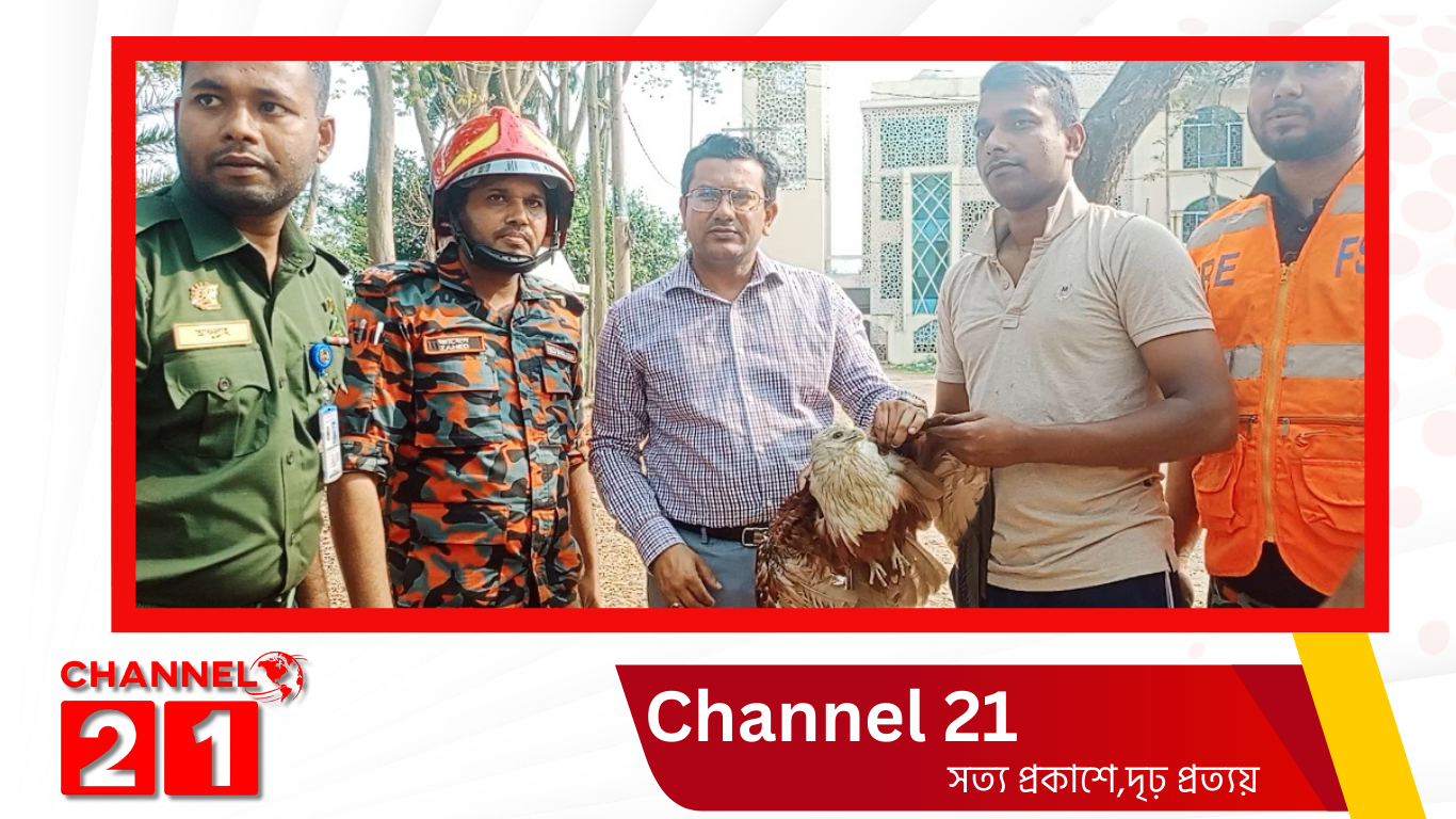 সোনারগাঁওয়ে ঈগল পাখি উদ্ধারে অনন্য নজির স্থাপন করলেন ইউএনও আসিফ আল জিনাত