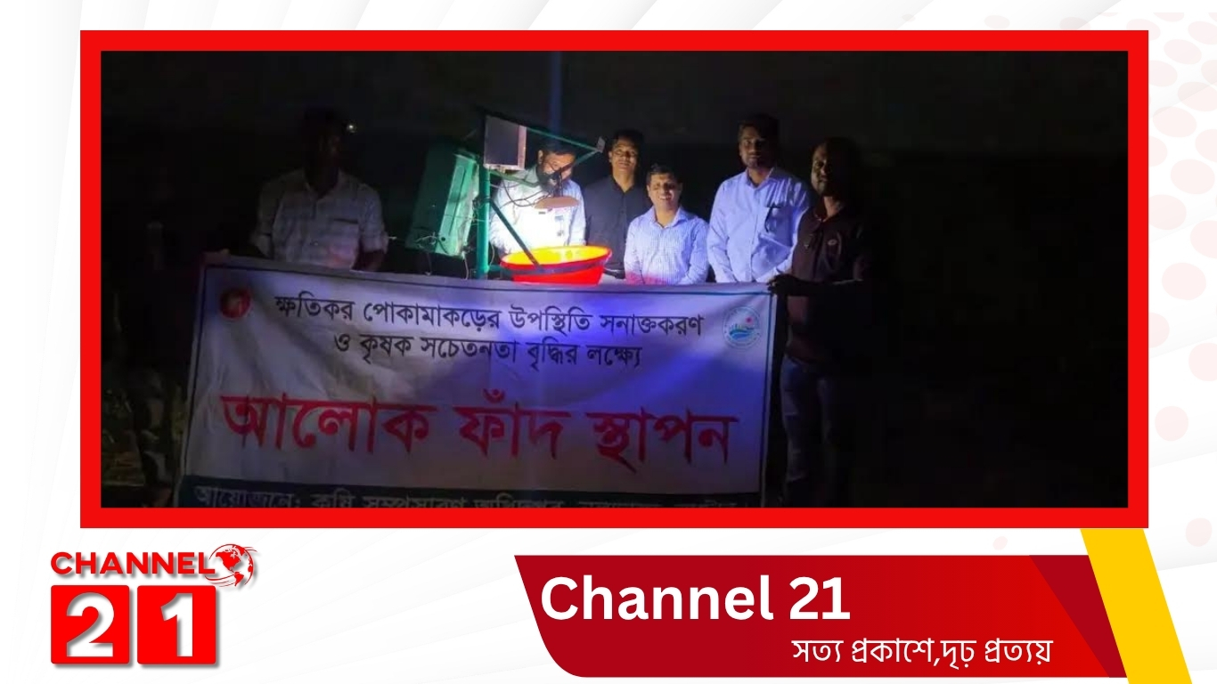 নাটোরে নলডাঙ্গায় একযোগে আলোক ফাঁদ স্থাপন কর্মসূচি উদ্বোধন, কৃষিতে আধুনিক কীটপতঙ্গ ব্যবস্থাপনার নতুন দিগন্ত
