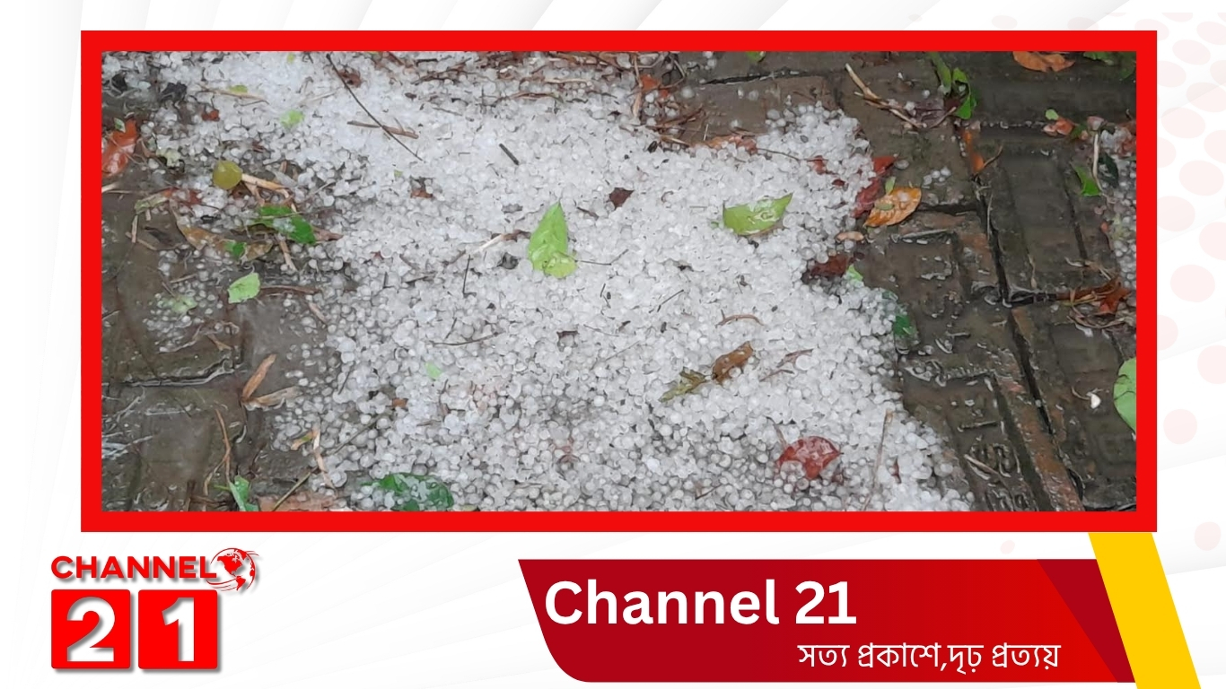 নাটোরে শিলাবৃষ্টি, ফসলের ক্ষতির আশঙ্কা
