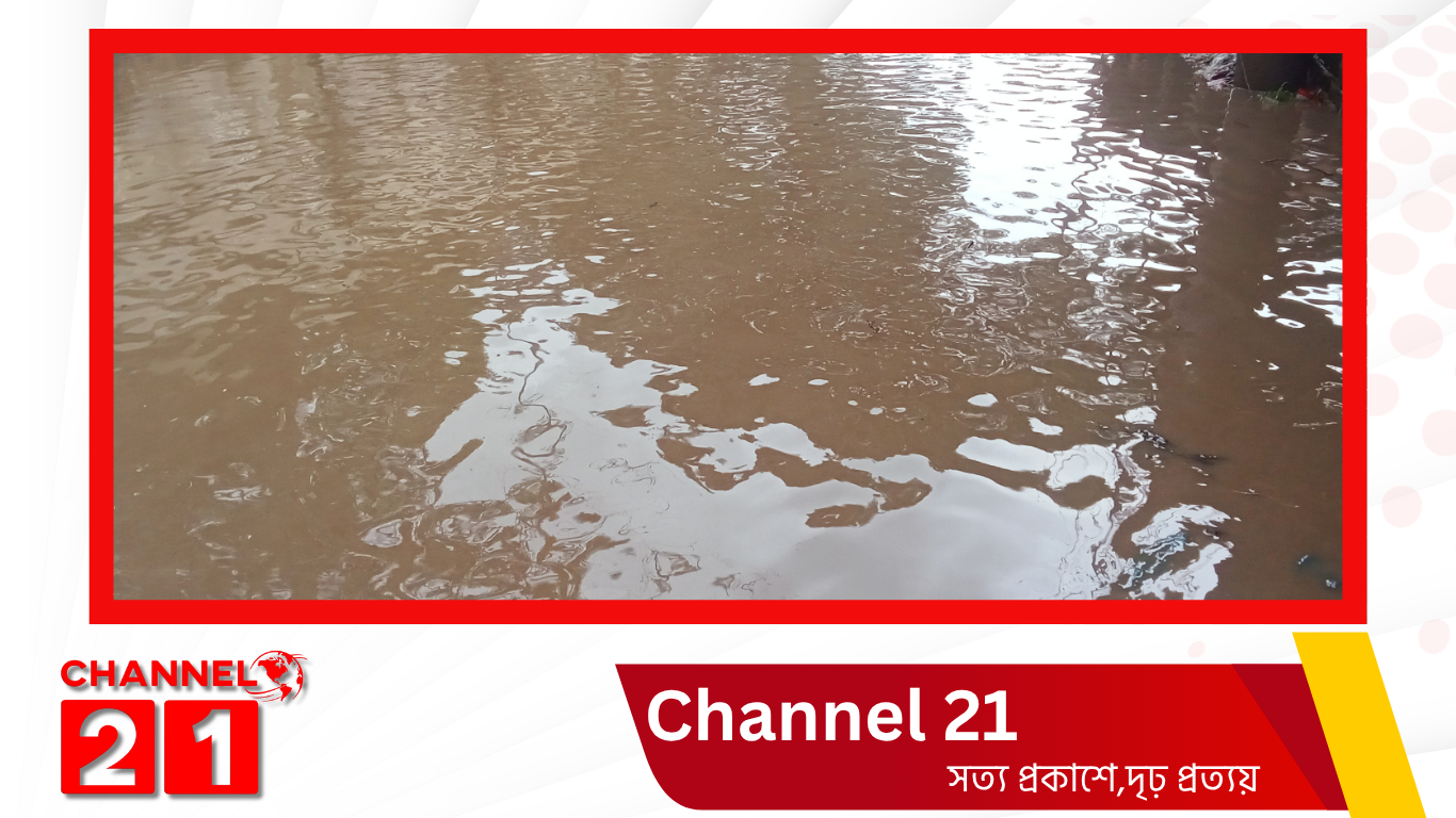 হাজিরহাট বাজারে সামান্য বৃষ্টিতেই জলাবদ্ধতা: খাল খননের দাবি চেয়ারম্যানের