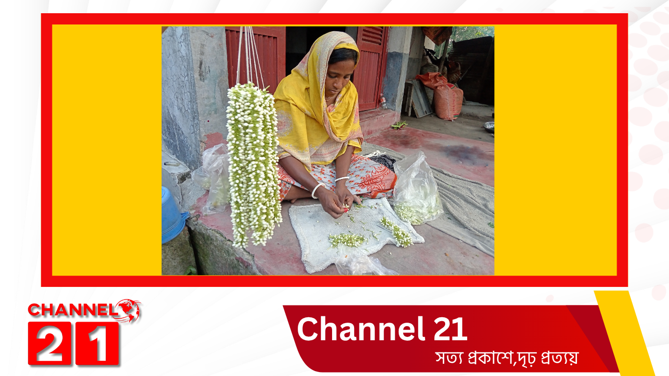 রূপগঞ্জে গাজরা ফুলের সুবাসে সচ্ছলতার স্বপ্ন: মালা গেঁথে ভাগ্যবদল শত শত নারীর নারায়ণগঞ্জের রূপগঞ্জে গাজরা মালা গাঁথার কর্মব্যস্ততা
