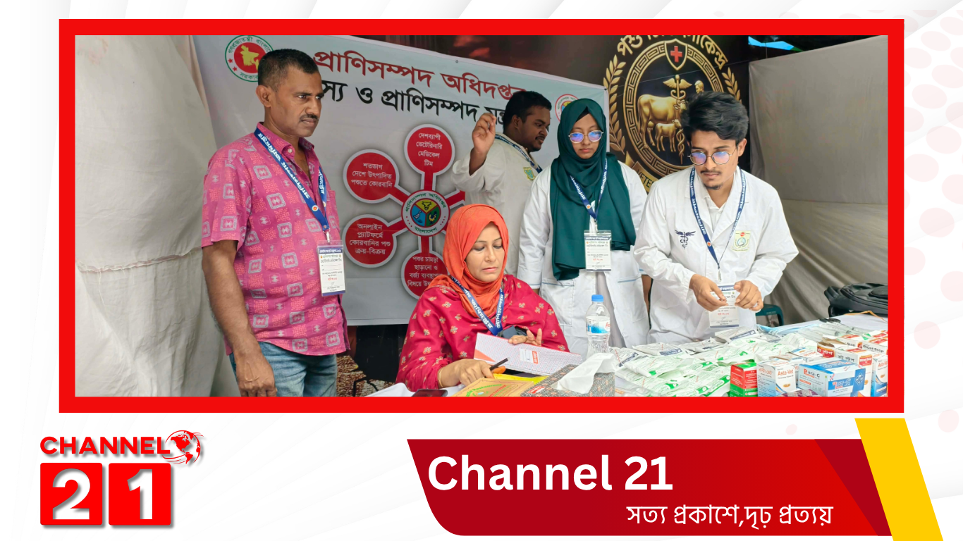 রাজধানীর পশুর হাটগুলোতে ভেটেরিনারি চিকিৎসাসেবা বাকৃবির ১৫ শিক্ষার্থীর