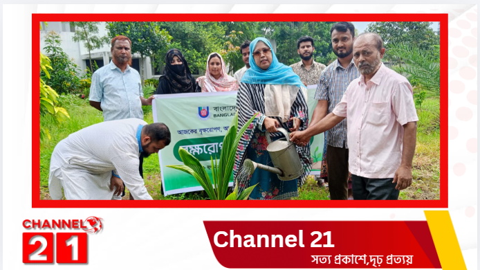 নাটোরে বাংলাদেশ উন্মুক্ত বিশ্ববিদ্যালয়ের  আয়োজনে বৃক্ষ রোপন