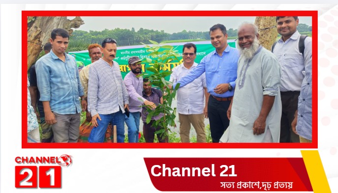 কদমতলা টু বৈকারী সড়কে বৃক্ষরোপণ কর্মসূচির উদ্বোধন করলেন জেলা পরিষদ প্রশাসক হাবিব
